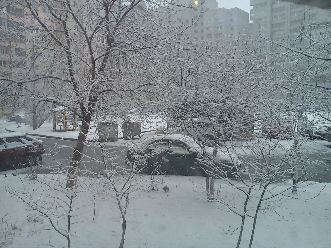 Дмитрий Сергеев фотография #6