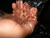 Фотография Виткова Юлия