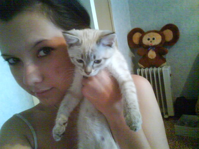 Stephenie Stephenie фотография #7